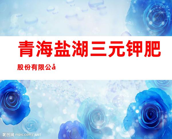 青海盐湖三元钾肥股份有限公司盐湖大酒店